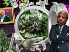Pot Inc. potrebbe finalmente avvicinarsi all’accesso alle banche statunitensi che tanto desidera
