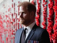 Il nuovo progetto Netflix del principe Harry servirà da sottile applauso a Trump