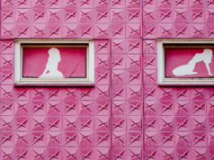 Agli alunni dell’ottavo anno viene assegnato un progetto di classe per progettare un bordello