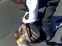 Il leader dei Verdi britannici si ritira in polemica contro la polizia dopo l’attacco antisemita