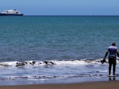 Quattro australiani bloccati su una nave da crociera dopo una sospetta epidemia mortale di hantavirus
