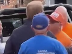 Senatore liberale coinvolto in una rissa con un volontario di One Nation al seggio elettorale