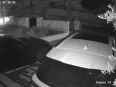 “Veloce, distruttivo e altamente visibile”: la tattica degli incendi dolosi che prende il sopravvento nelle guerre criminali