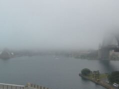 Avviso di ritardi dei voli all’aeroporto di Sydney mentre una fitta nebbia copre la città