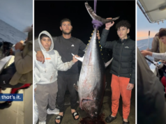 Catture mostruose che valgono fino a $ 70.000, ma il trio australiano non vedrà mai un centesimo
