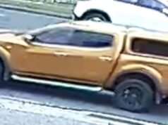 I poliziotti sollecitano l’autista del ute a farsi avanti dopo che il dodicenne ha colpito