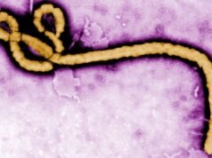 L’OMS dichiara terminata l’emergenza sanitaria globale dopo decine di morti