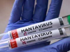 Dovremmo preoccuparci dell’epidemia di hantavirus?