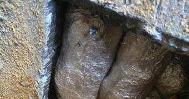 narcotic_0-640x335.jpg