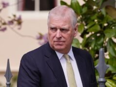L’uomo accusato di aver minacciato l’ex principe Andrea vicino alla casa di Sandringham si è dichiarato non colpevole in tribunale