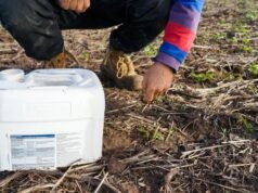 I problemi legati ai parassiti sono i peggiori degli ultimi anni, poiché gli agricoltori spendono fino a 100 dollari per ettaro in lumache e afidi