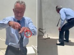RFK Jr. strappa due serpenti da corsa neri dal patio del dottor Oz in un video pazzesco