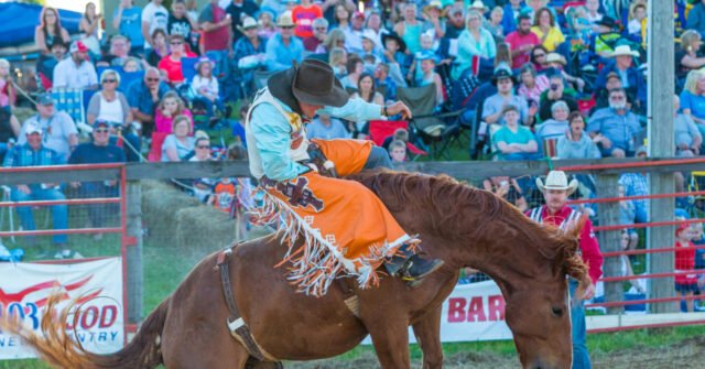 rodeo-640x335.jpg
