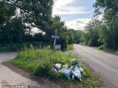 Sondaggio per omicidio: un ragazzo, 12 anni, viene ucciso dopo essere stato investito da un veicolo nell’Essex da adolescente e un uomo, 43 anni, vengono arrestati