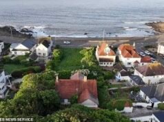 Casa indipendente fronte mare con cinque letti nella “fila dei milionari”, circondata da cespugli e alberi, sarà in vendita per £ 725.000