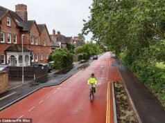 La controversa prima strada ciclabile dell’Inghilterra veniva utilizzata ogni giorno solo dalla METÀ dei ciclisti che il pubblico era portato a credere, secondo la richiesta FOI