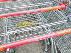 La madre viene multata di 150 sterline per “abbandono di rifiuti” dopo aver lasciato cadere una foglia di cavolo nel suo carrello mentre raccoglieva cibo per le persone vulnerabili