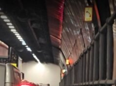 Gli automobilisti subiscono ritardi di un’ora sull’autostrada M25 mentre l’incendio chiude il trafficato tunnel di Dartford Crossing