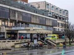 Cinque persone arrestate per omicidio dopo che un 18enne è stato accoltellato in una località balneare e poi portato fuori dall’ospedale