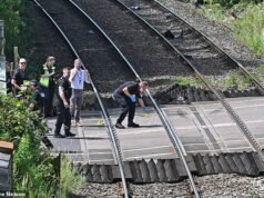 Una donna muore e una bambina di 8 anni lotta per la vita dopo che il treno ha colpito un’auto al passaggio a livello