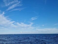 I soccorritori sono scioccati nel trovare i sopravvissuti all’incidente aereo seduti sull’aereo… che galleggia al largo della costa del Galles