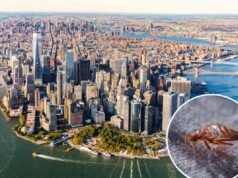 Rivelati gli stati degli Stati Uniti con il maggior rischio di cimici dei letti – e New York e Los Angeles sono in cima