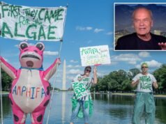 Kelsey Grammer invia un messaggio ai detrattori di Trump ossessionati da Reflecting Pool e condivide la preghiera per il Paese