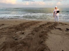 Le persone in lutto si riuniscono per ricordare l’ambientalista libanese ucciso da Israele