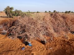 Gruppo per i diritti umani afferma che l’attacco dei droni uccide 11 persone nel mercato del Sudan centrale