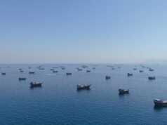 Gli Stati Uniti hanno sottratto 100 milioni di barili di petrolio da Hormuz, come sostiene Trump?