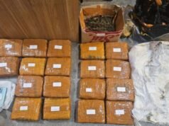 La BNN smantella il traffico di droga di hashish e arresta 2 cittadini russi