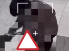 Ultime notizie sul caso di un uomo che avrebbe abusato di un cane Pomerania in un bar nel nord di Giakarta