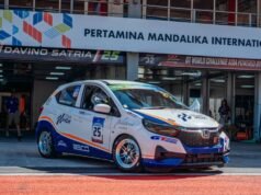 Diversi personaggi di auto da corsa e go kart