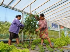 Il Premio per la Sostenibilità dell’Indonesia apprezza l’impegno ESG e l’empowerment sostenibile di PNM