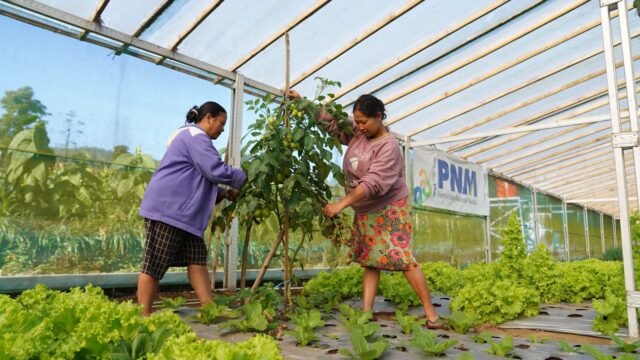 6a369cc785733-indonesia-sustainability-award-apresiasi-komitmen-esg-dan-pemberdayaan-berkelanjutan-pnm_gemini_1265_711.jpg