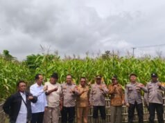 Come la polizia di Karawang attua il programma strategico del governo per mantenere la disponibilità alimentare nazionale