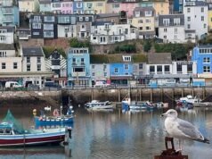 South West Water è stata multata di quasi 2 milioni di sterline dopo aver fornito alle case acqua piena di parassiti che ha lasciato quattro persone in ospedale – e aver detto alla gente che era sicura da bere