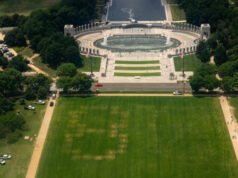 Messaggio “86 47” scolpito nell’erba del National Mall