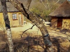 I migranti climatici dello Zimbabwe temono lo sfratto a causa dell’intensificarsi della repressione