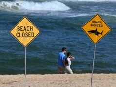 Un uomo muore nell’Australia occidentale dopo l’attacco di uno squalo