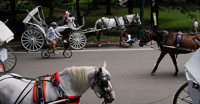 AP25233515268315-640x335.jpg