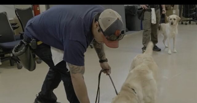 ATF-Canine-Training-640x335.jpg