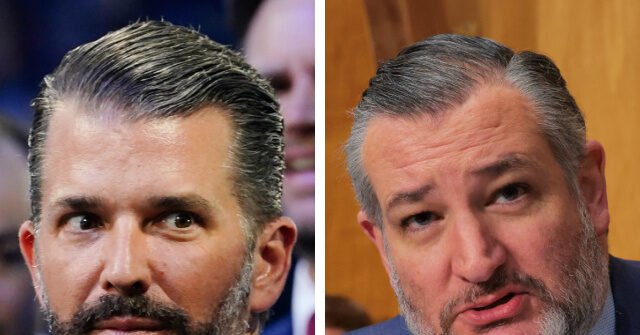 Don-Jr.-vs-Ted-Cruz-640x335.jpeg