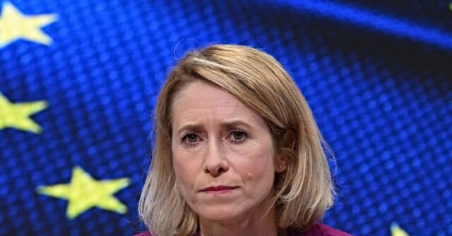 EU-diplomacy-640x335.jpg