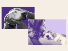 I Millennial e la Gen Z adottano una “genitorialità gentile” con i loro cani: è un problema