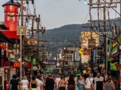 La Thailandia reprime le aziende straniere che utilizzano foglie di fico di proprietà locale