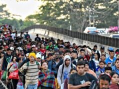 Le famiglie immigrate utilizzano il welfare a “tassi sostanzialmente più elevati” rispetto agli americani