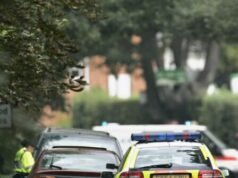 Migrante accusato di stupro e omicidio dopo che una bambina di due anni è stata trovata morta