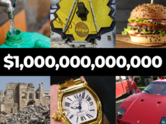 Puoi spendere 1 trilione di dollari? Ti consegniamo la fortuna di Musk per scoprirlo