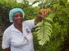 Come le tradizionali ostetriche della Colombia fungono da ancora di salvezza per le comunità rurali